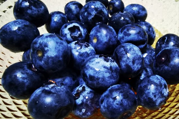 You must know about superfoods: antioxidant, anti-aging, and immune boosting!