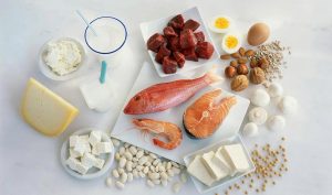Protein: the foundation of life, how to scientifically supplement protein?