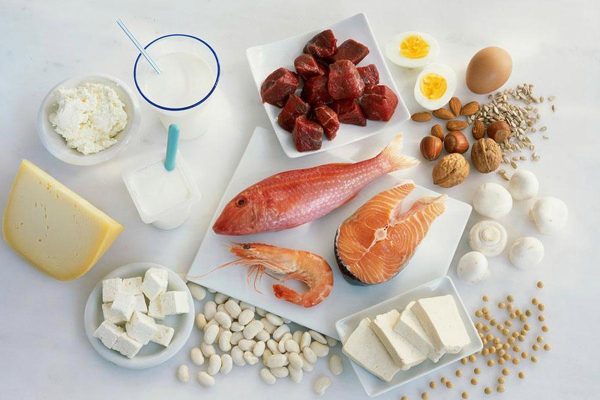 Protein: the foundation of life, how to scientifically supplement protein?